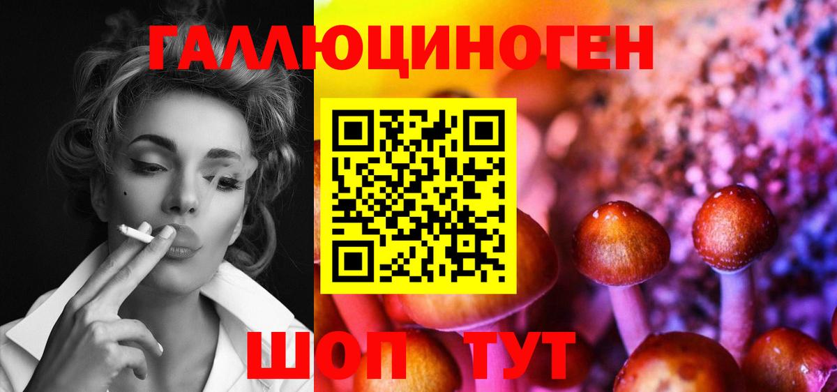 Галлюциногенные грибы Magic Shrooms  купить   Людиново  Вход с VPN 